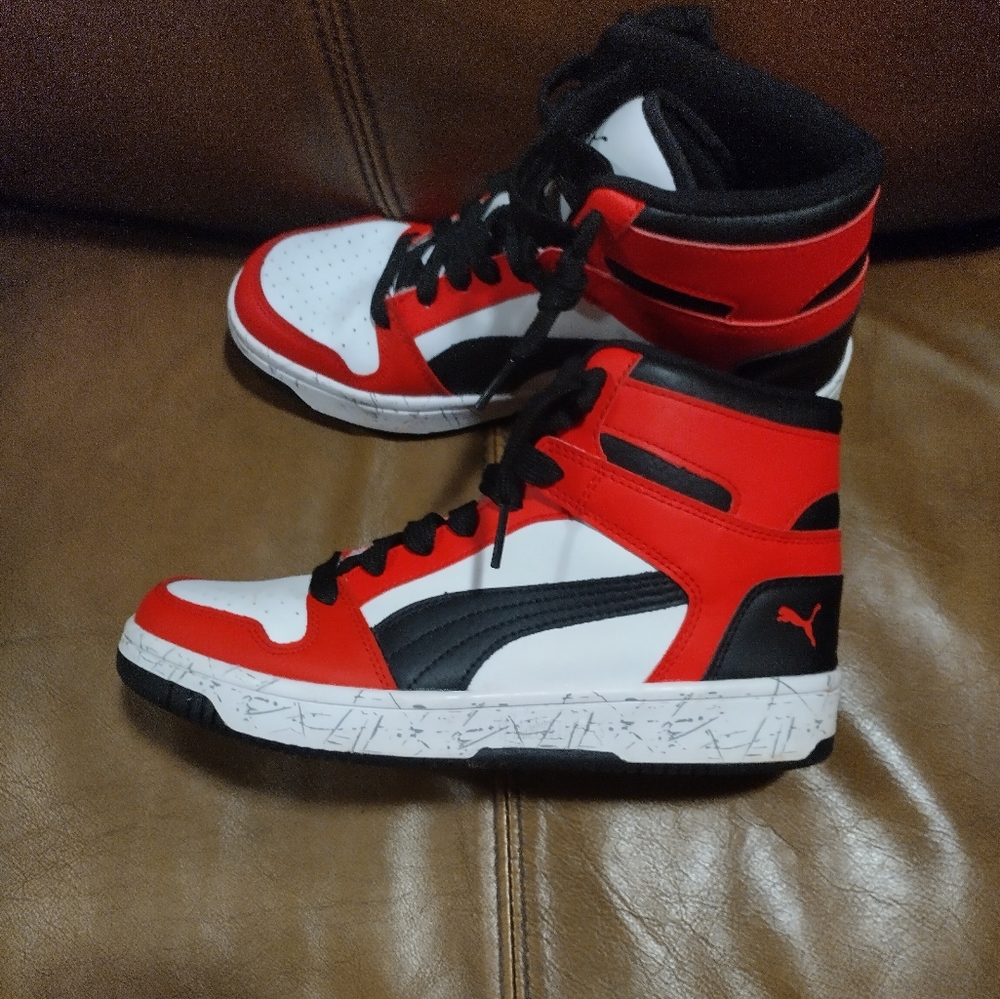 Puma rebound